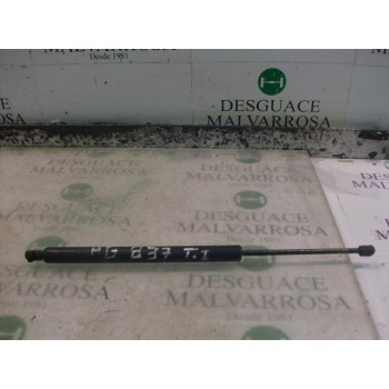 AMORTIGUADORES MALETERO / PORTON 