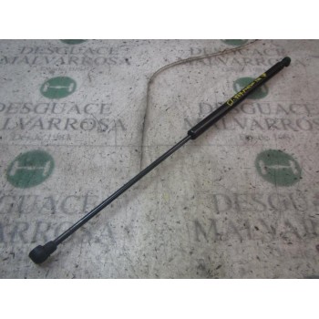 AMORTIGUADORES MALETERO / PORTON 