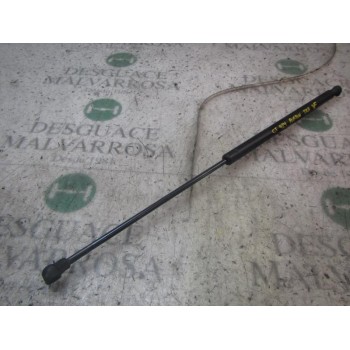 AMORTIGUADORES MALETERO / PORTON 