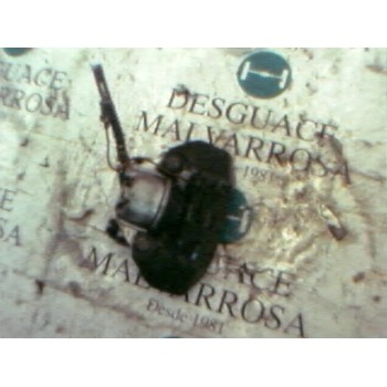 PINZA FRENO DELANTERA IZQUIERDA 