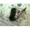 Recambio de pinza freno delantera izquierda para peugeot 205 berlina 1.4 referencia OEM IAM   