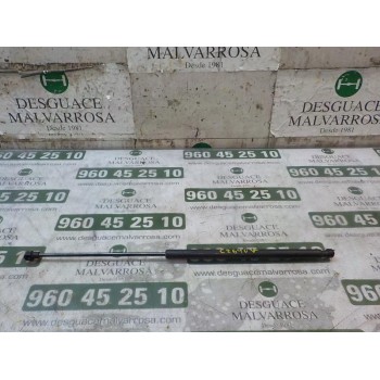 AMORTIGUADORES MALETERO / PORTON 904505599R 