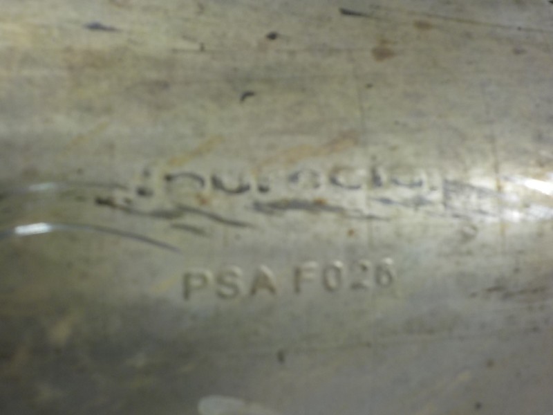 Recambio de filtro de particulas para ds 5 1.6 blue-hdi fap referencia OEM IAM 9810717280 S003 