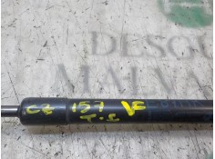 Recambio de amortiguadores maletero / porton para bmw serie 1 berlina (e81/e87) 2.0 16v diesel referencia OEM IAM 51247060622   2