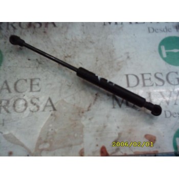 AMORTIGUADORES MALETERO / PORTON 