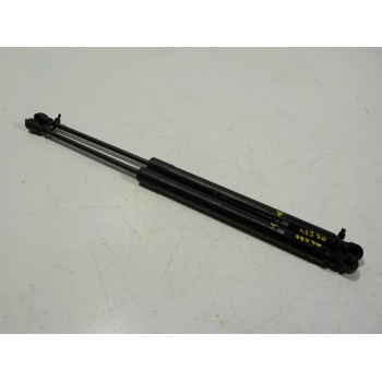 AMORTIGUADORES MALETERO / PORTON 844308661R 844308661R 