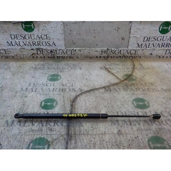 AMORTIGUADORES MALETERO / PORTON 