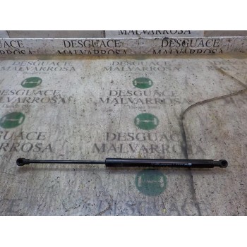 AMORTIGUADORES MALETERO / PORTON 