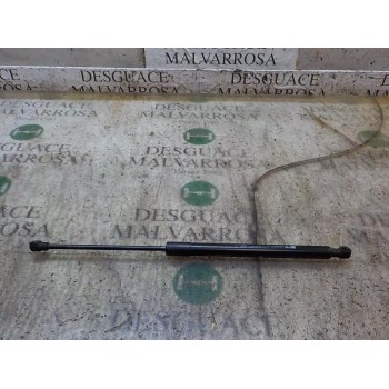 AMORTIGUADORES MALETERO / PORTON 