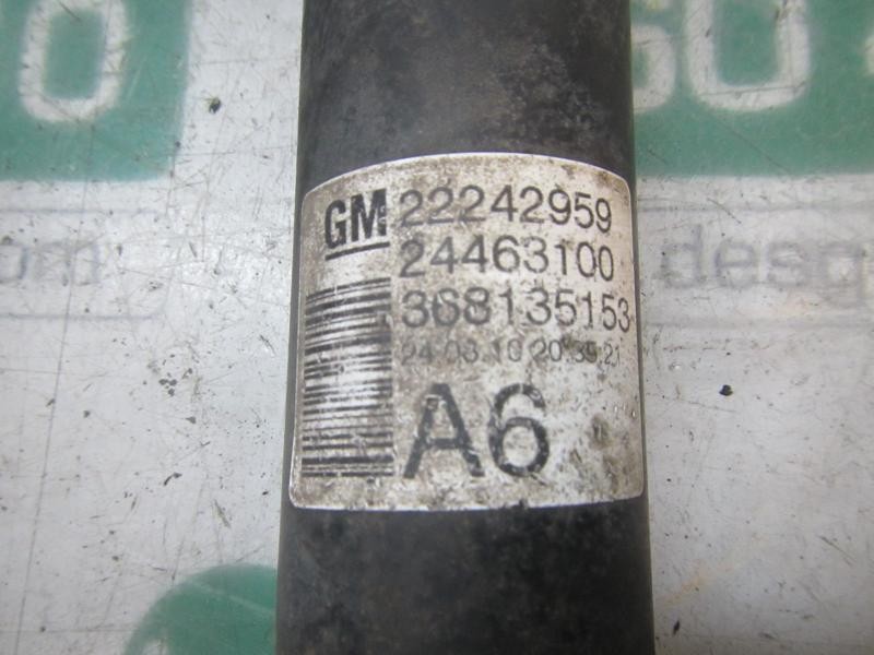 Recambio de amortiguador trasero izquierdo para opel zafira b 1.7 16v cdti referencia OEM IAM   