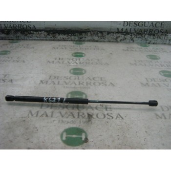 AMORTIGUADORES MALETERO / PORTON 