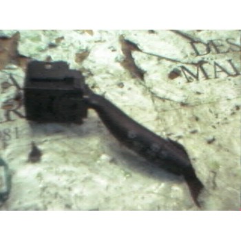 MANDO LIMPIA 
