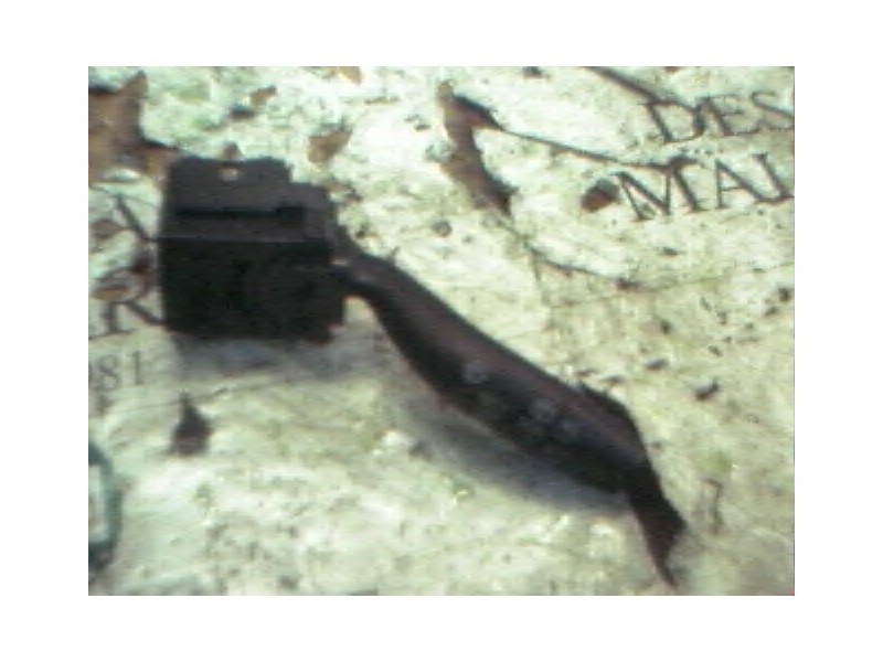 Recambio de mando limpia para honda civic berlina 5 (eu7/8) 1.6i es referencia OEM IAM   