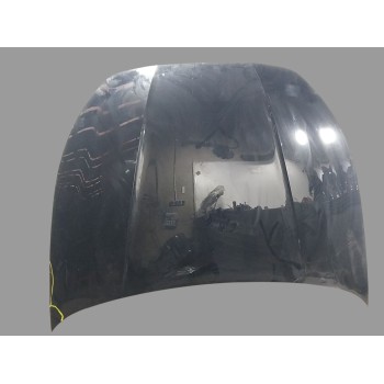 CAPOT DELANTERO 5FA823031D 