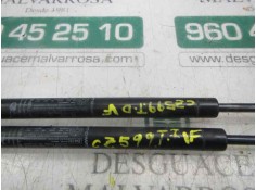 Recambio de amortiguadores maletero / porton para fiat nuova 500 (150) lounge referencia OEM IAM    2