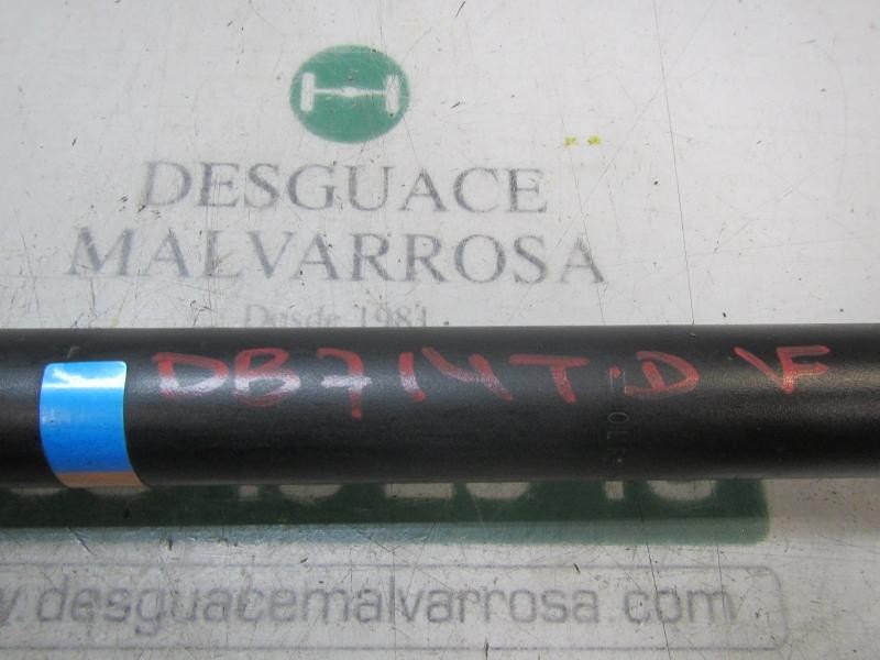 Recambio de amortiguador trasero derecho para dacia sandero stepway referencia OEM IAM 562104719R  