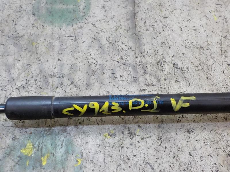 Recambio de amortiguador capot para bmw serie 3 berlina (e90) 320d referencia OEM IAM 51237060550  