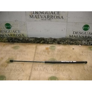 AMORTIGUADORES MALETERO / PORTON 