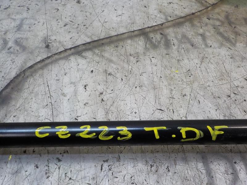 Recambio de amortiguadores maletero / porton para ford fiesta (ccn) trend referencia OEM IAM 1666068  