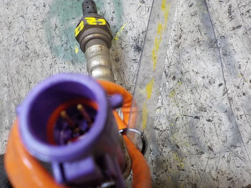 Recambio de sonda lambda para ford fiesta (ccn) trend referencia OEM IAM 1743702 AE819G444BC 