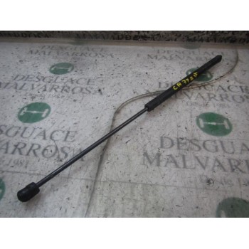 AMORTIGUADORES MALETERO / PORTON 