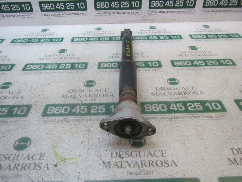 Recambio de amortiguador trasero derecho para seat exeo st (3r5)(2009>) reference referencia OEM IAM 3R0513036 3R0513036 