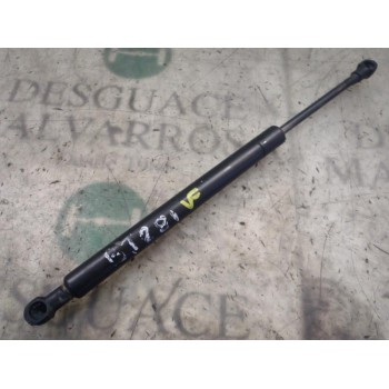 AMORTIGUADORES MALETERO / PORTON 51248254281 