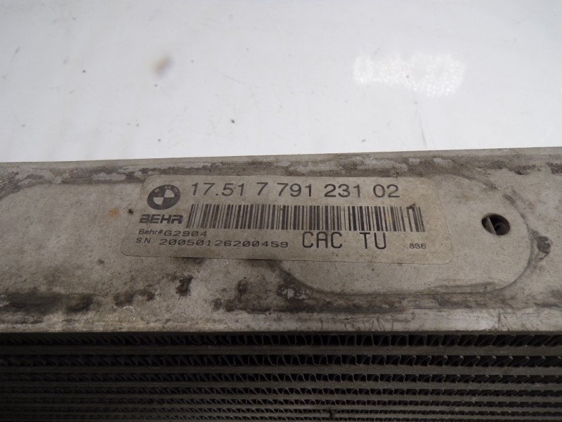 Recambio de intercooler para bmw x5 (e53) 3.0 turbodiesel cat referencia OEM IAM 17517791231 7791231 