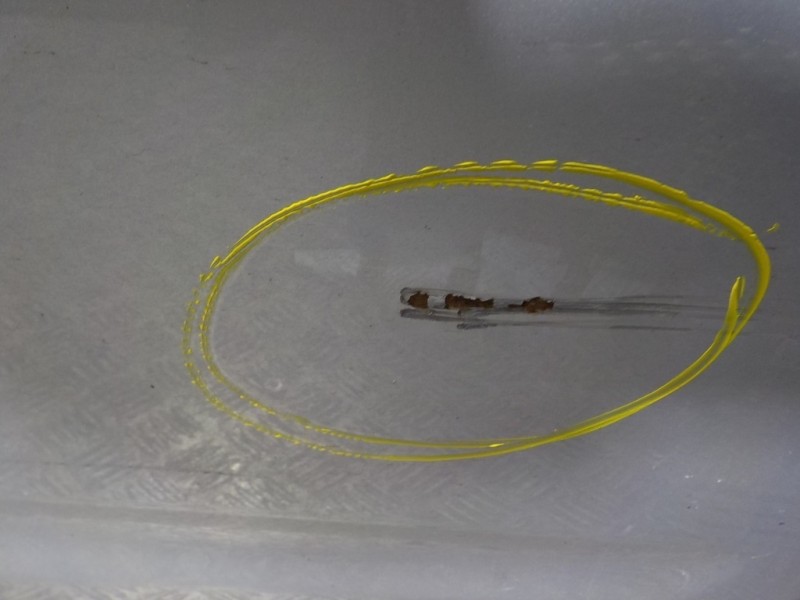 Recambio de puerta delantera derecha para toyota prius (nhw20) 1.5 cat referencia OEM IAM 6700147040  