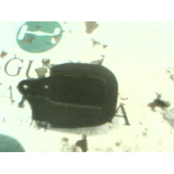 MANETA INTERIOR DELANTERA IZQUIERDA 51211960807 