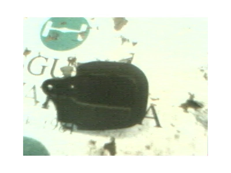 Recambio de maneta interior delantera izquierda para bmw serie 3 berlina (e36) 325i referencia OEM IAM 51211960807  