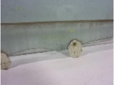 Recambio de cristal puerta delantero derecho para land rover range rover sport 2.7 td v6 cat referencia OEM IAM    2