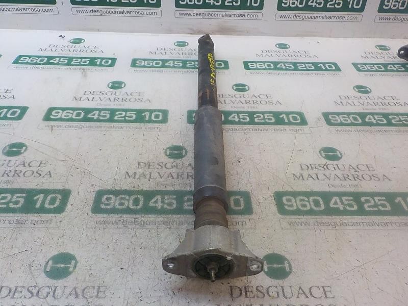 Recambio de amortiguador trasero derecho para ford focus lim. (cb4) trend referencia OEM IAM 1681184  