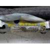 Recambio de airbag cortina delantero izquierdo para fiat nuova 500 (150) 1.3 16v jtd cat referencia OEM IAM 51782981 00517829810