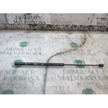 AMORTIGUADORES MALETERO / PORTON 