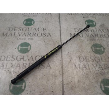 AMORTIGUADORES MALETERO / PORTON 