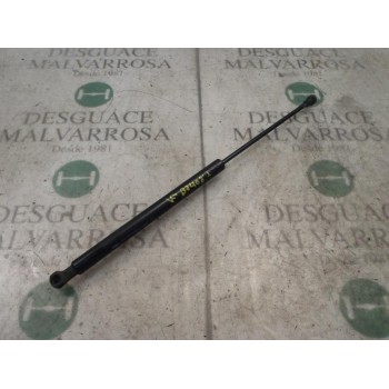 AMORTIGUADORES MALETERO / PORTON 