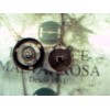 Recambio de tensor correa auxiliar para seat leon (1m1) stella referencia OEM IAM   