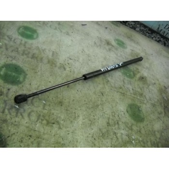 AMORTIGUADORES MALETERO / PORTON 