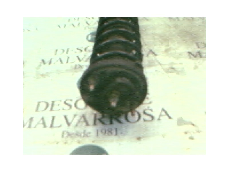 Recambio de amortiguador trasero derecho para renault twingo (co6) 1.3 cat referencia OEM IAM   