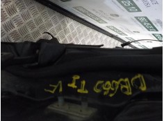 Recambio de puerta trasera izquierda para bmw serie 3 berlina (e46) 2.0 16v diesel cat referencia OEM IAM 41527034153   2