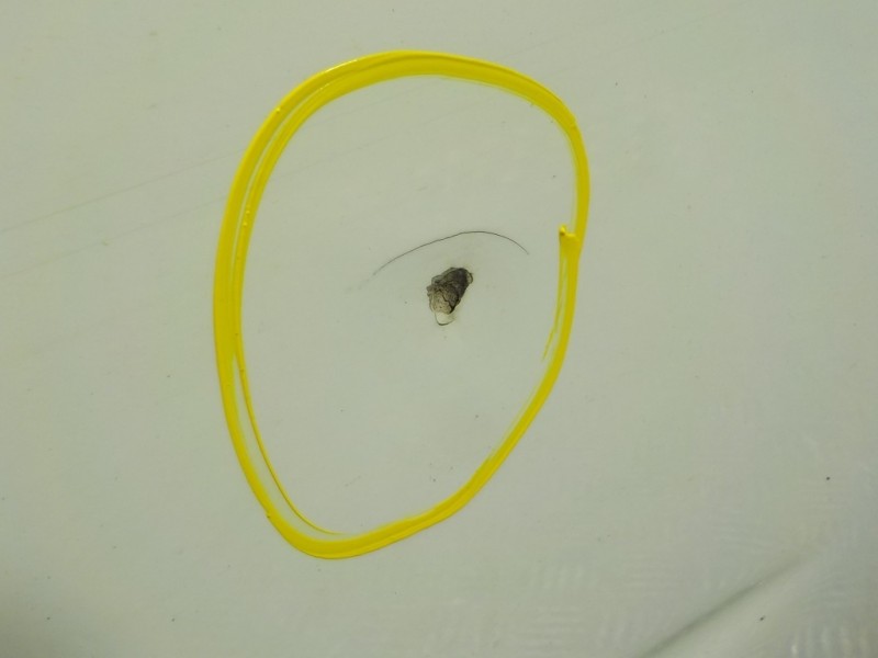 Recambio de puerta trasera izquierda para ford c-max 1.0 ecoboost cat referencia OEM IAM 2380070  