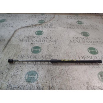 AMORTIGUADORES MALETERO / PORTON 