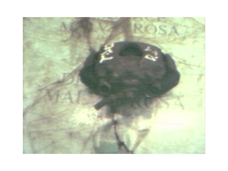 Recambio de pinza freno delantera izquierda para opel astra f berlina 1.4 cat (l48) referencia OEM IAM   