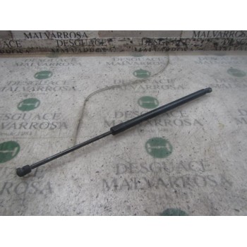 AMORTIGUADORES MALETERO / PORTON 