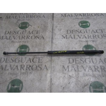 AMORTIGUADORES MALETERO / PORTON 