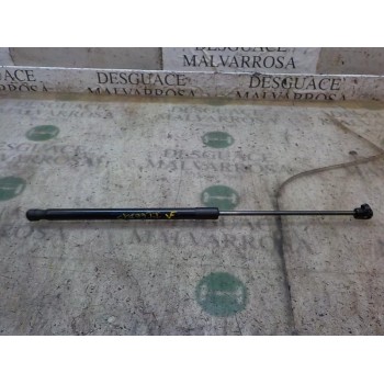 AMORTIGUADORES MALETERO / PORTON 