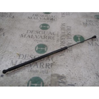 AMORTIGUADORES MALETERO / PORTON 