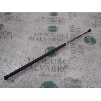 AMORTIGUADORES MALETERO / PORTON 