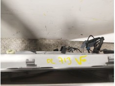 Recambio de puerta trasera izquierda para bmw x6 (e71) 3.0 turbodiesel cat referencia OEM IAM    2